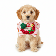 Pet Xmas Collar Bowknot Neck