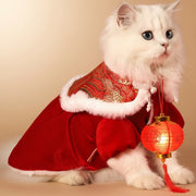 Warm Festive Pet New Year Dress