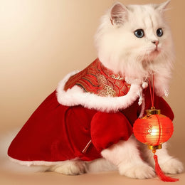 Warm Festive Pet New Year Dress
