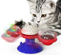 Cat Entertainment Set - Rotating Disk, Feather Teasers & More