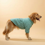 Warm Winter Dog Sweatshirt