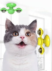 Cat Entertainment Set - Rotating Disk, Feather Teasers & More