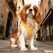 Vest-Style Dog Harness Leash