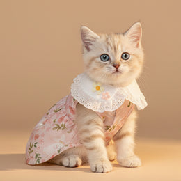 Cute Bunny Spring Vibe Pure Cotton Cat Summer Vest