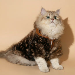 Warm Thickened Anti-Shedding Cat Clothes