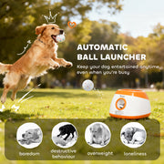 Automatic Dog Ball Launcher - Orange (For Medium/Large Dogs)