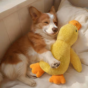 Puppy Calming Duck Chew Toy - Squeaky Plush Teeth Cleaning Pillow