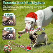 Christmas Dog Rope Chew Toys Set