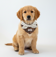 Cute Plaid Bow Pet Bib