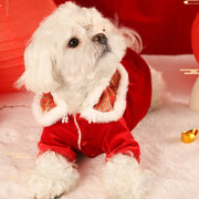 Warm Festive Pet New Year Dress