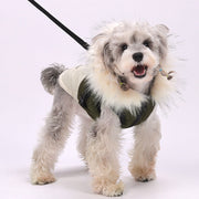 Winter Hooded Dog Down Cotton Jacket