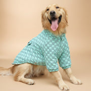 Warm Winter Dog Sweatshirt