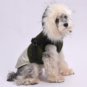 Winter Hooded Dog Down Cotton Jacket
