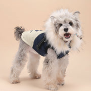 Winter Hooded Dog Down Cotton Jacket
