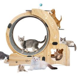 Multi-Functional Cat Treadmill & Furniture