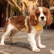 Vest-Style Dog Harness Leash