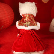 Warm Festive Pet New Year Dress