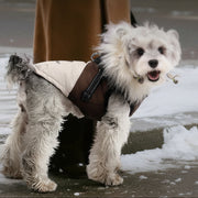 Winter Hooded Dog Down Cotton Jacket